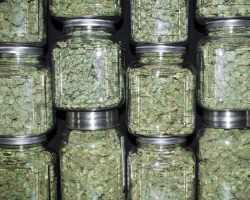 Marijuana Jars